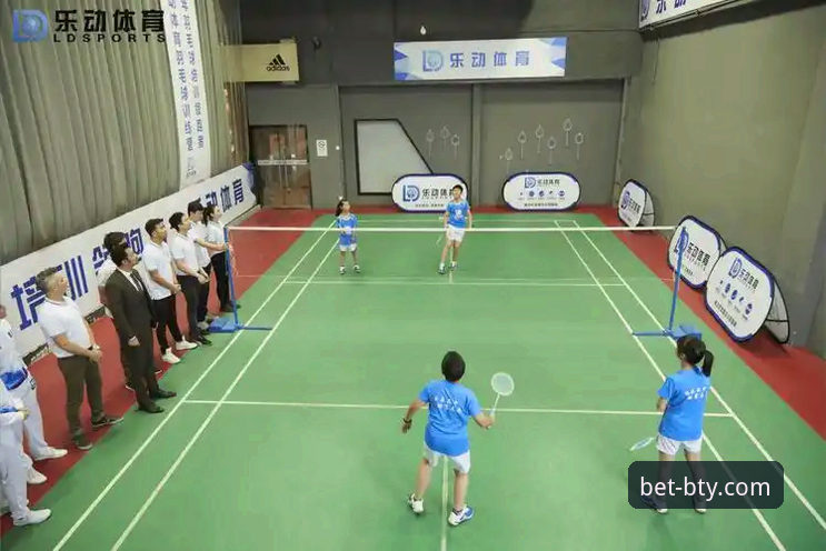 资深用户阿杰分享：B体育官方平台一站式下载与v2.2.0版本实战体验